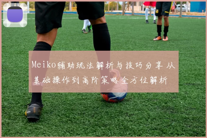 Meiko辅助玩法解析与技巧分享 从基础操作到高阶策略全方位解析