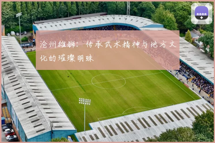 沧州雄狮：传承武术精神与地方文化的璀璨明珠