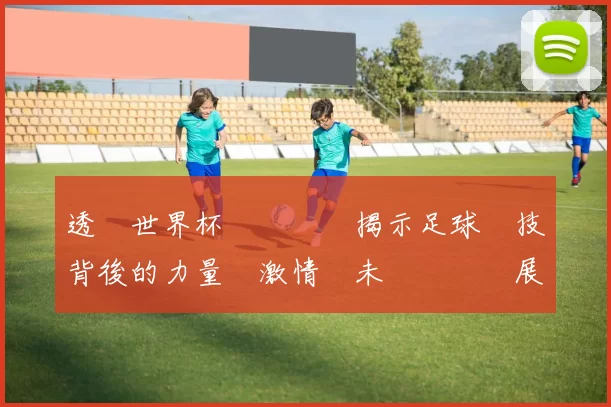 透視世界杯賽場風雲揭示足球競技背後的力量與激情與未來趨勢發展