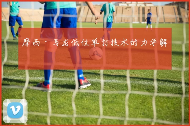 摩西·马龙低位单打技术的力学解构