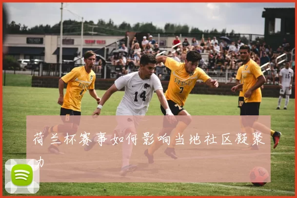 荷兰杯赛事如何影响当地社区凝聚力