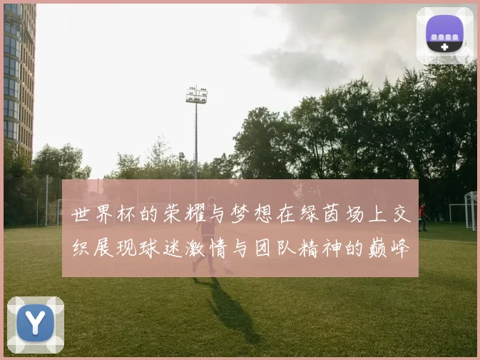 世界杯的荣耀与梦想在绿茵场上交织展现球迷激情与团队精神的巅峰对决