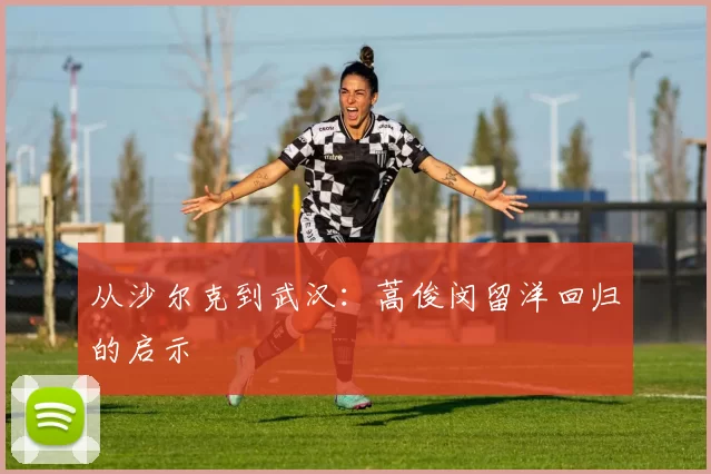 从沙尔克到武汉：蒿俊闵留洋回归的启示