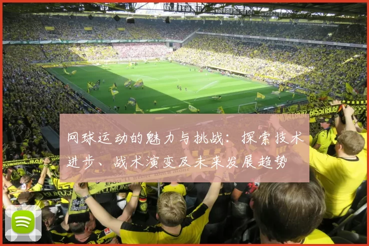 网球运动的魅力与挑战：探索技术进步、战术演变及未来发展趋势