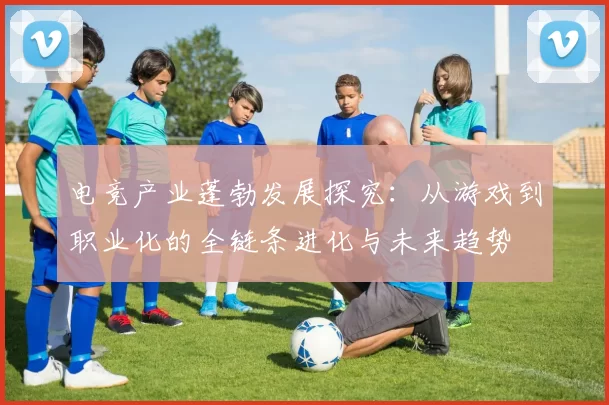 电竞产业蓬勃发展探究：从游戏到职业化的全链条进化与未来趋势