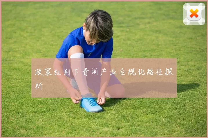 政策红利下青训产业合规化路径探析
