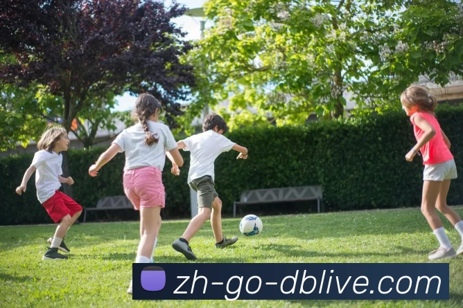 db真人发展历程