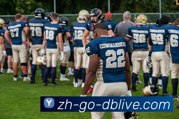 绿茵激情燃动世界聚焦足球竞技精神与荣耀之战